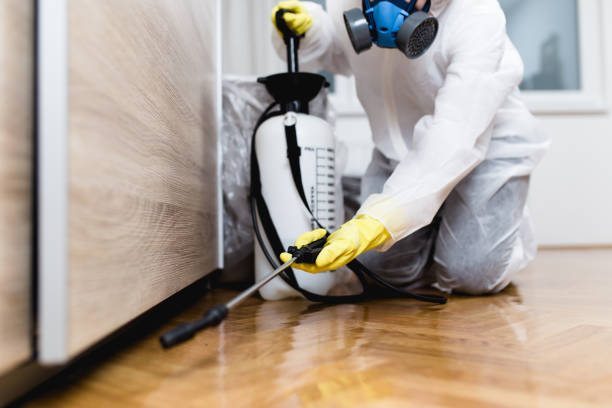 Best Local Pest Control Services  in Woodlyn, PA