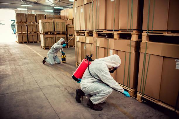 Best Wildlife Control Services  in Woodlyn, PA