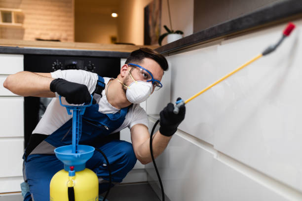 Best Pest Prevention Services  in Woodlyn, PA