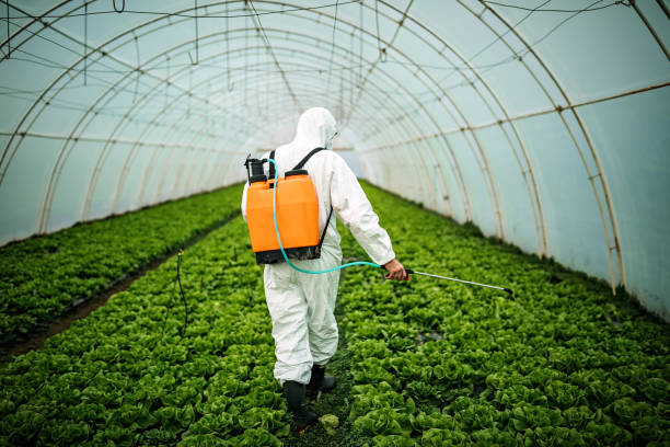 Best Mosquito Control Services  in Woodlyn, PA