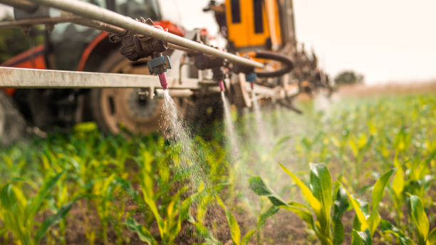 Best Commercial Pest Control Services  in Woodlyn, PA